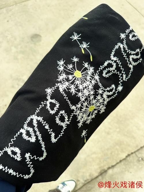 广州蒲公英新装上身仍缺精气神 盼最后主场全力一搏 广州蒲公英新装上身仍缺精气神 盼最后主场全力一搏