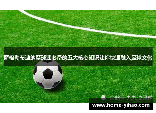 萨格勒布迪纳摩球迷必备的五大核心知识让你快速融入足球文化