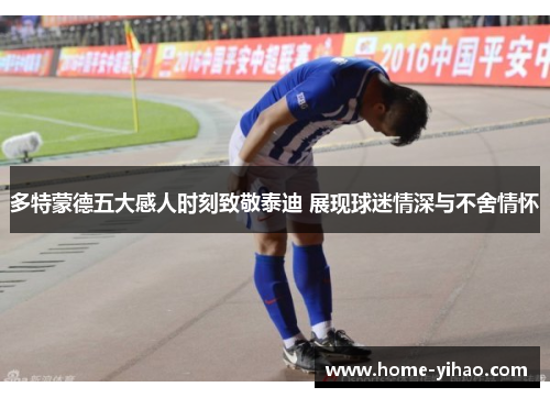 多特蒙德五大感人时刻致敬泰迪 展现球迷情深与不舍情怀