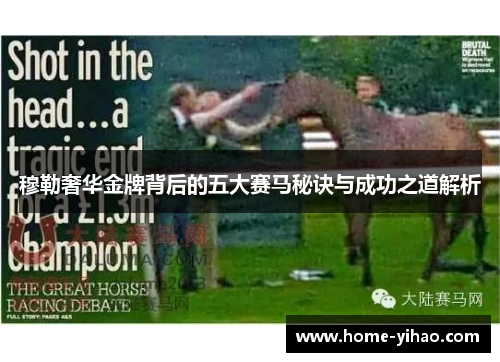 穆勒奢华金牌背后的五大赛马秘诀与成功之道解析